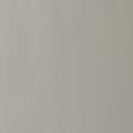 Neutral Gray 3